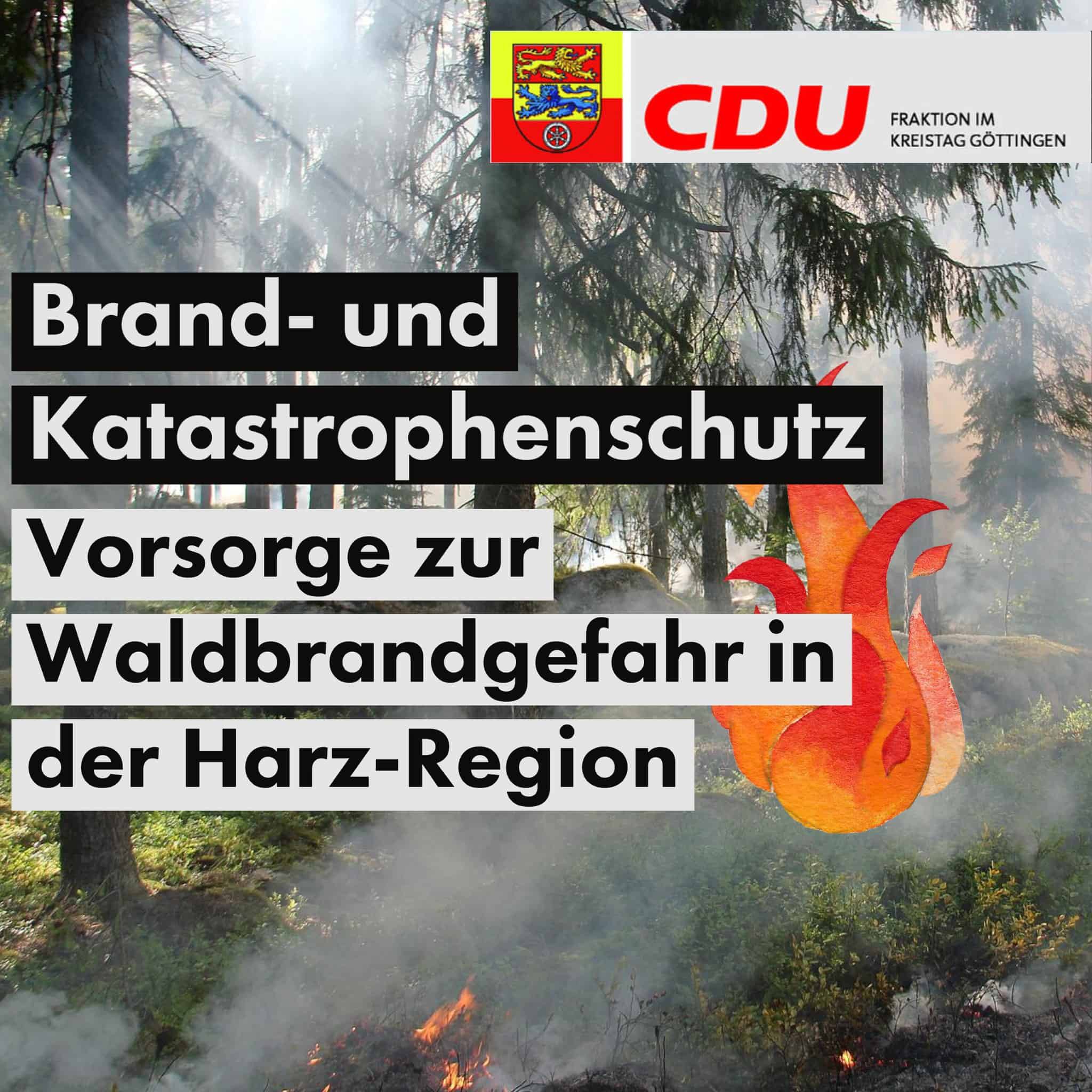 Bild Waldbrand